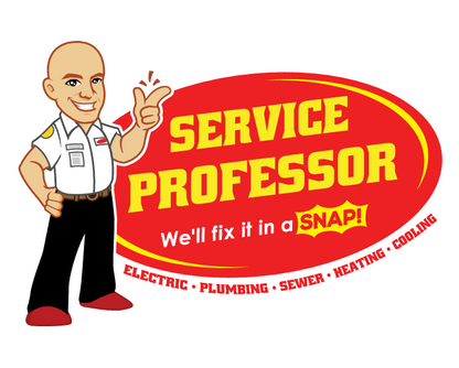 Service Professor